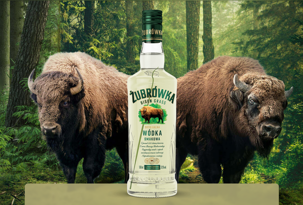 Żubrówka Bison Grass Vodka: The Spirit of the Bison Forest