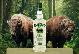 Żubrówka Bison Grass Vodka: The Spirit of the Bison Forest