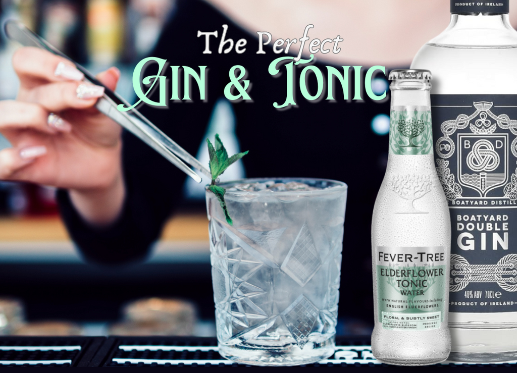 The Perfect Gin & Tonic: The Secrets of Old Tom, London Dry, and Sloe Gin
