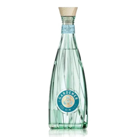 Gin