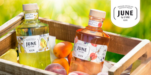 June by G Vine Gin fruit infised drink bottles insida a wooden case with fresh fruit in a garden