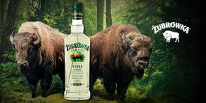 ZUBROVKA Vodka bottle with iconic 2 bison in a forest in the background